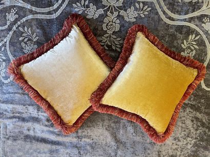 PAIRE DE COUSSINS déhoussables en velours...