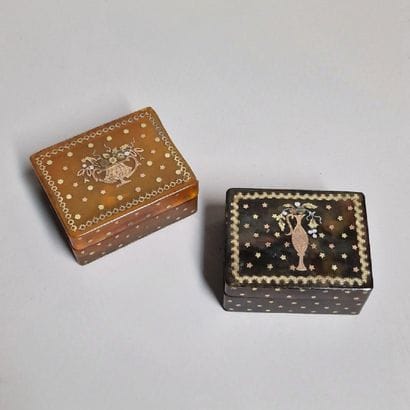 2 BOITES A MOUCHES RECTANGULAIRES de la Fin...