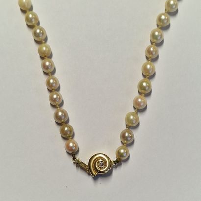 5 JEWELRY JEWELRY THAT CAN FORM A JEWELRY...