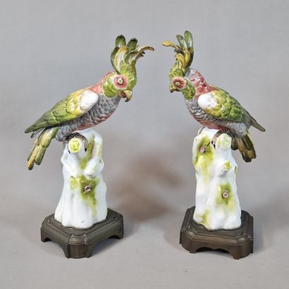 PAIR OF CACATOES STATUETTES in polychrome...