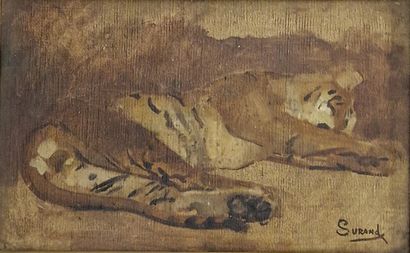 Gustave SURAND (1860-1937)
Sketch of a tiger
OIL...