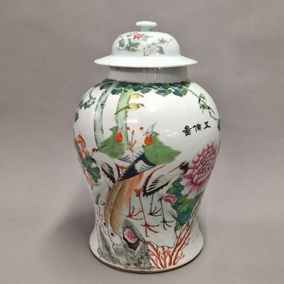 CHINA - CIRCA 1900-1920 - Porcelain and Famille...