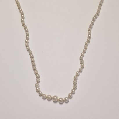 COLLAR OF FALLING CULTURAL PEARLS Mid 20th...