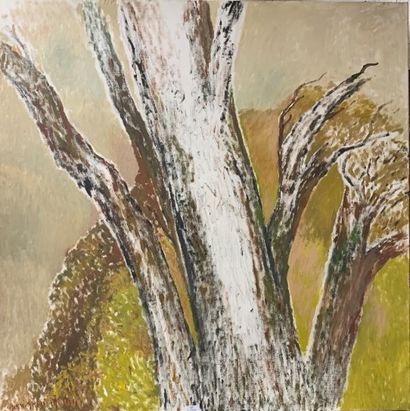 841/ Henri-André MARTIN (1918-2004)
Pines...