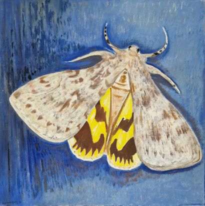 Henri-André MARTIN (1918-2004)
Papillon de...