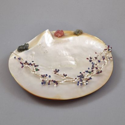 PINTADINE CUP from the Second Half of the...