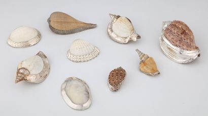 9 COQUILLAGES A USAGE DE DECORS DE TABLE...