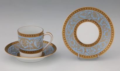 CHARLES FIELD HAVILAND - LIMOGES - MODELE...