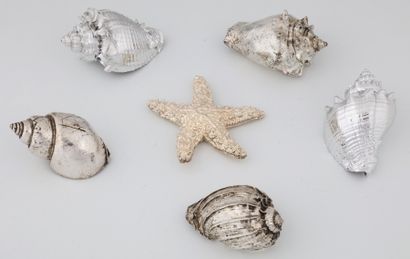 5 COQUILLAGES ET 1 ETOILE DE MER A USAGE...
