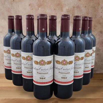 CHATEAU CROIZET BAGES - PAUILLAC - 2004
12...