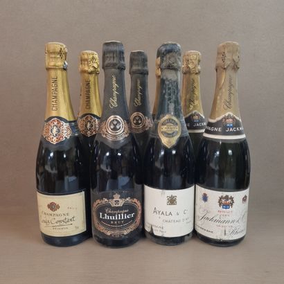 9 BOUTEILLES DE CHAMPAGNE : 2 CHAMPAGNE JACKMANN...