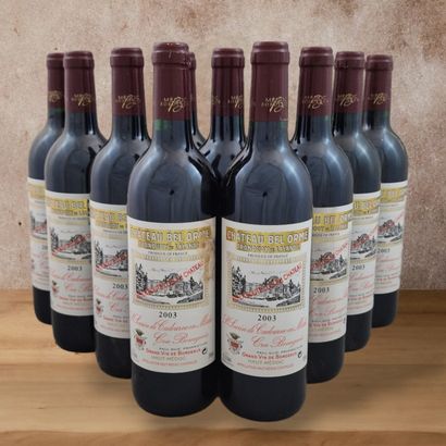 CHATEAU BEL ORME TRONQUOY DE LALANDE - HAUT-MEDOC...