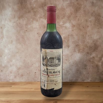 CHATEAU LA TOUR BLANCHE - MONTAGNE SAINT-EMILION...