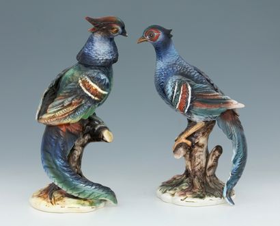 CAPODIMONTE - PAIRE DE STATUETTES D'UN FAISAN...