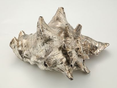 GRAND COQUILLAGE doublé argent 800 Millièmes...