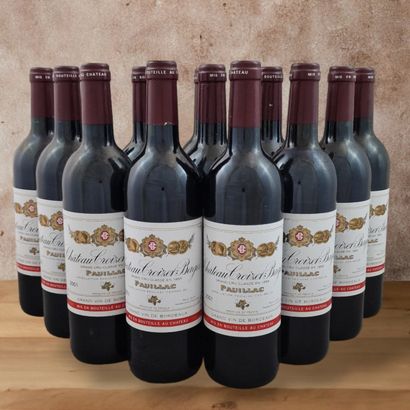 CHATEAU CROIZET BAGES - PAUILLAC - 2001
12...