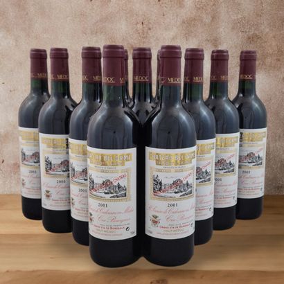 CHATEAU BEL ORME TRONQUOY DE LALANDE - HAUT-MEDOC...