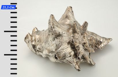 GRAND COQUILLAGE doublé argent 800 Millièmes...