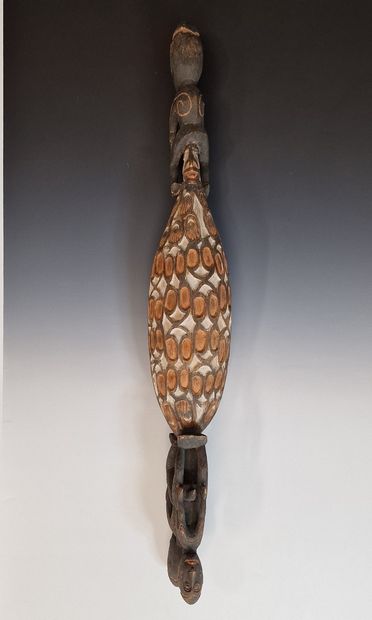 COUPE A NOURRITURE - ASMAT, Irian Jaya, Indonésie...