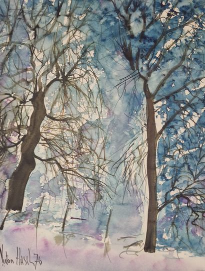 Victor HASCH (1945-2012)
Forêt - 1976
ENCRE...
