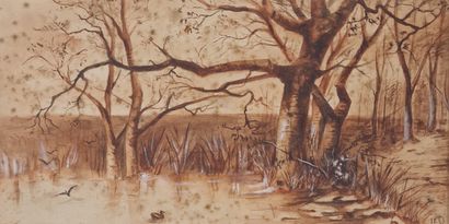 ECOLES DU XXEME SIECLE
Paysages et vues de...