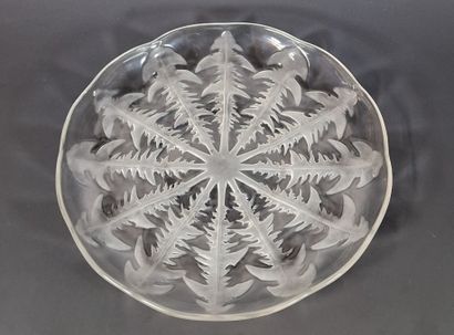 LALIQUE FRANCE - COUPE PLATE PISSENLIT N°1...