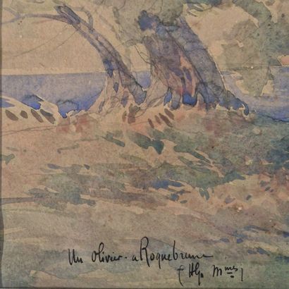 Emile APPAY (1876-1935)
Olivier à Roquebrune,...