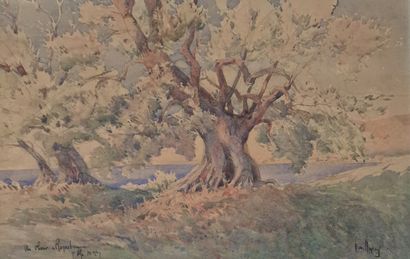 Emile APPAY (1876-1935)
Olivier à Roquebrune,...