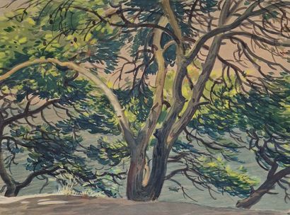 Tony MINARTZ (1873-1944)
Set of FIVE AQUARELLES...