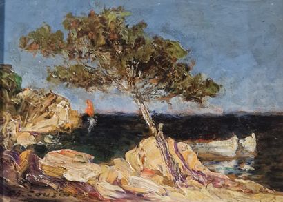 Charles COUSIN (1904-1972)
Umbrella pine...