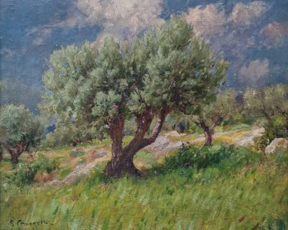 Gabriel AMORETTI (1861-1947)
Le Revest, evening...