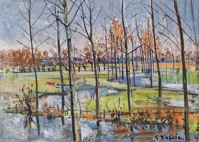 Georges VASLIN (Born 1951)
Flooded meadows
OIL...