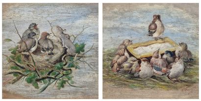 Jean René CHASSAIGNE (1872-1958) 
Rats Attacking...