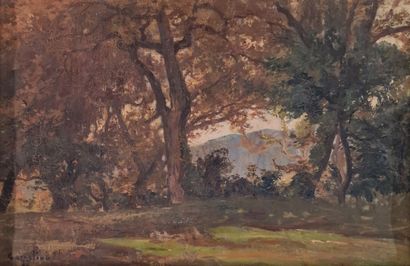 Ciro COZZOLINO (1876-1946)
Landscape of undergrowth
OIL...