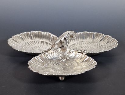 BEAUTIFUL TRIPLE COQUILLE PRESENTOIR in Minerva...