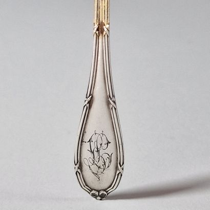 MOUTARDE SPOON in silver and vermeil Minerve...