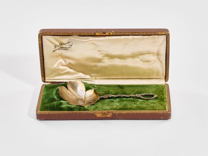 ANONYMOUS
GLACE SPOON in the shape of a flower...