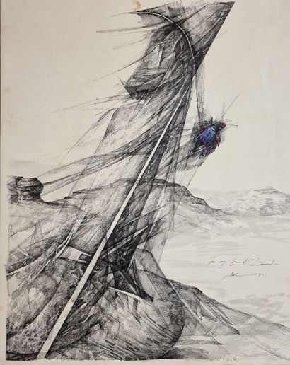 Fred NALL (né en 1948)
Le scarabée
PLUME,...