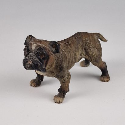 BRONZE DE VIENNE - STATUETTE DE BULLDOG Circa...