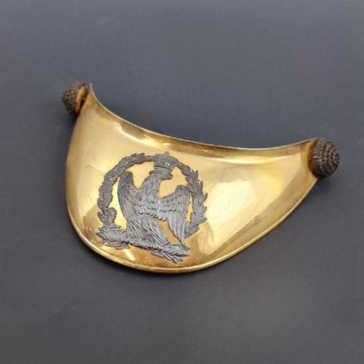 HAUSSE COL D'OFFICIER DE LA GARDE IMPERIALE....