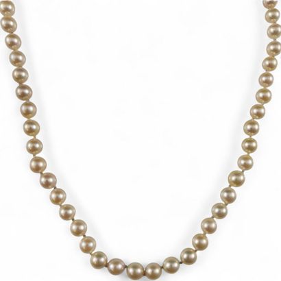 Modern cultured pearl necklace with clasp...