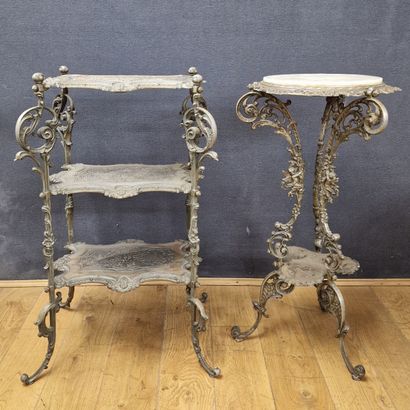 MUSTERSCHUTZ - TWO SELETTES Circa 1900 in...