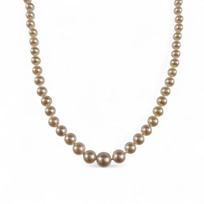 COLLAR OF FALLING CULTURAL PEARLS Modern...