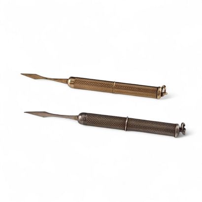 DEUX CURE DENTS DE VOYAGE retractables -...