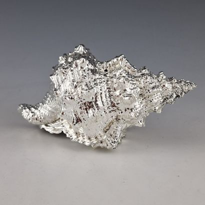 DOUBLE SILVER COQUILLAGE FOR TABLE DECORATION-...