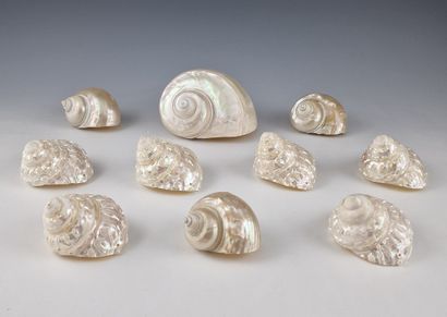 10 MOTHER-OF-PEARL SHELLS FOR TABLE DECORATIONS
H....