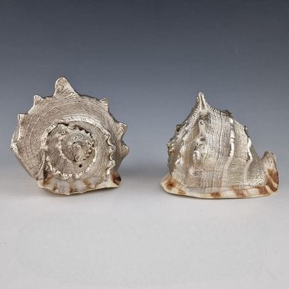 TWO SIMILAR DOUBLE SILVER COQUILLAGES FOR...