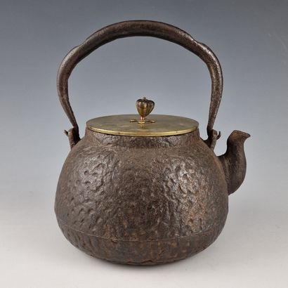 Cast iron and brass teapot in the Archaic...