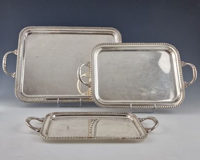 SET OF THREE RECTANGULAR SERVING PLATES IN...
