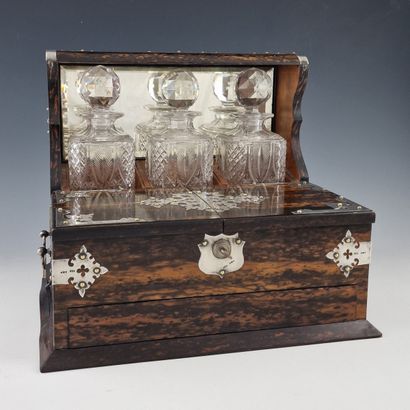 AMUSANTE CAVE A ALCOOL FORMANT COFFRET A...